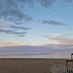 Palma Odesa