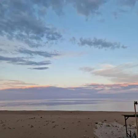 Palma Odessa